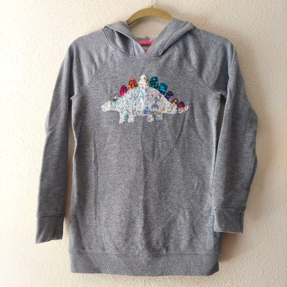 Dinosaur pullover